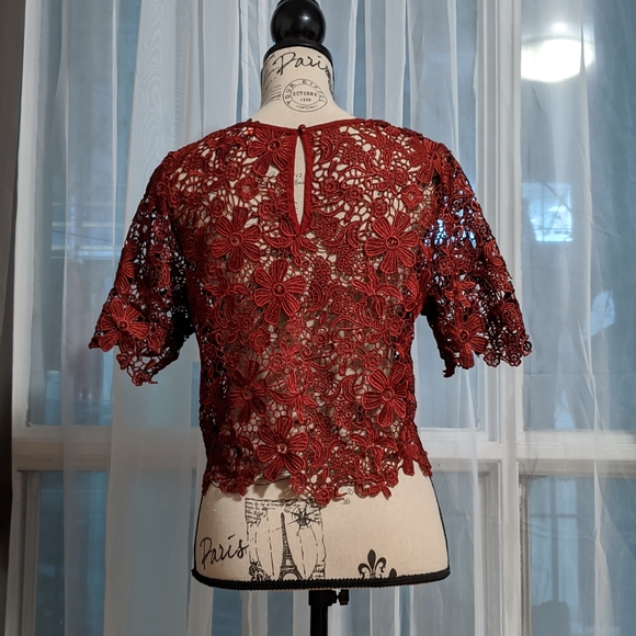 Re:named Lace Crop Top - Picture 4 of 6